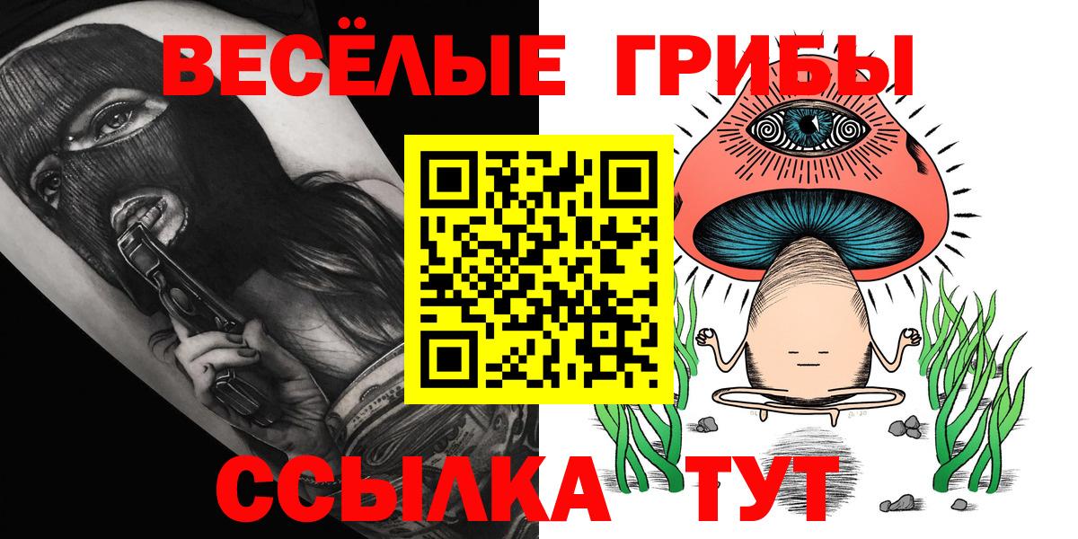 Псилоцибиновые грибы Psilocybine cubensis  Вход с VPN  Сертолово 