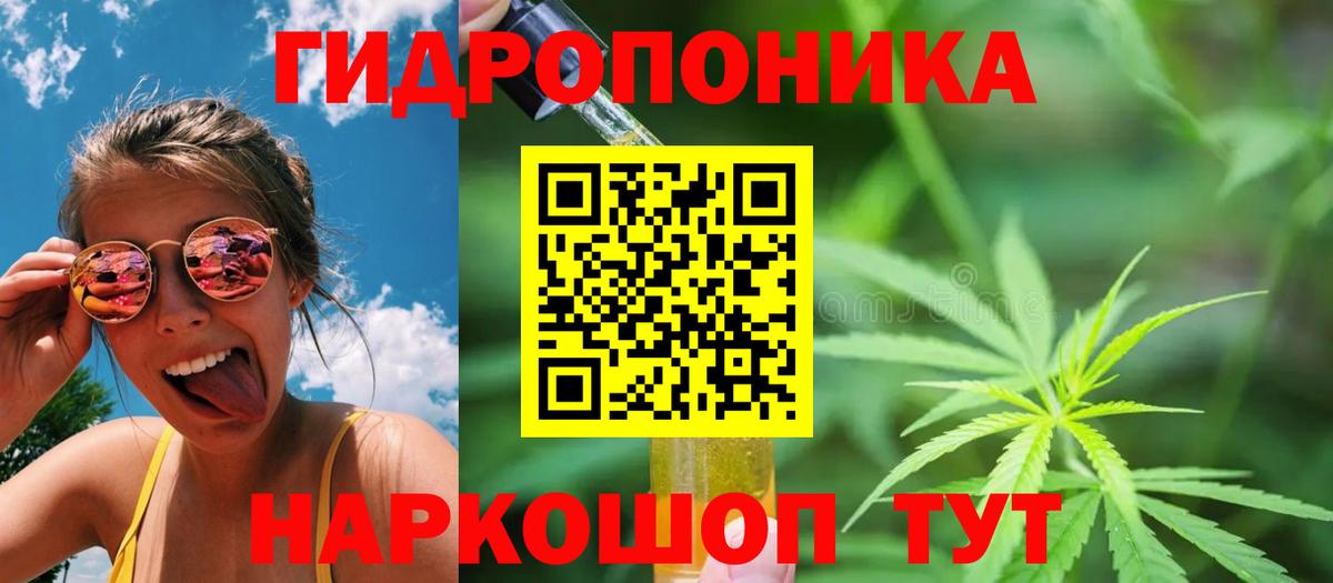 Сертолово  Шишки марихуана Bruce Banner  Каннабис конопля  Вход с VPN  Марихуана гибрид 
